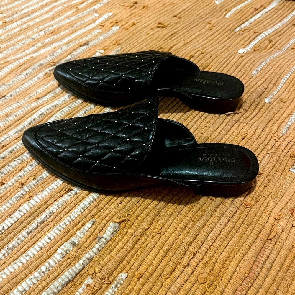 Charles David Flats - image 1